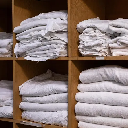 In A Digital Nomad House 104 *